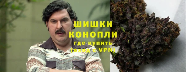сатива Рославль