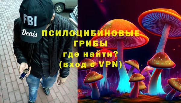 сатива Рославль