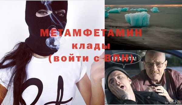 сатива Рославль