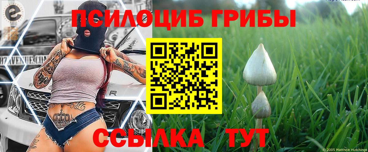 Псилоцибиновые грибы GOLDEN TEACHER  Галлюциногенные грибы мицелий  Алатырь 