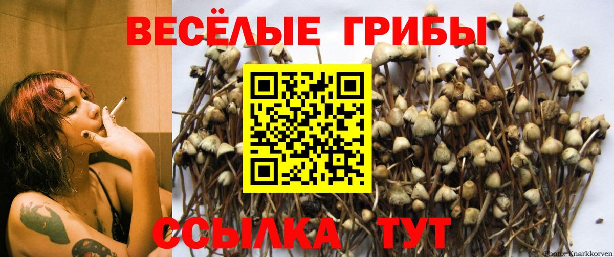 МЕФ кристаллы  МДМА  Алатырь  Кокаин  LSD-25  Каннабис  АМФЕТАМИН кристаллы  Вход с VPN  МЕФ  ТГК 