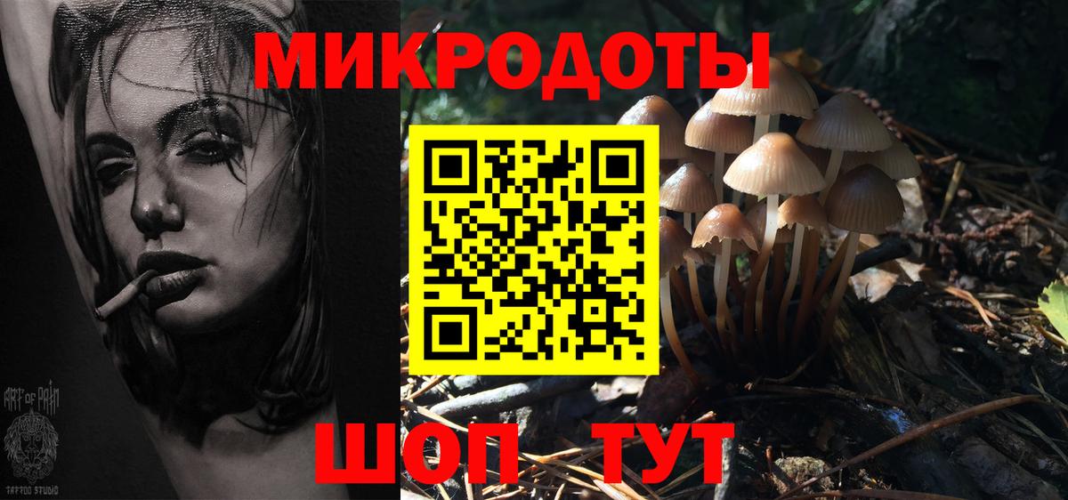 Псилоцибиновые грибы MAGIC MUSHROOMS Алатырь