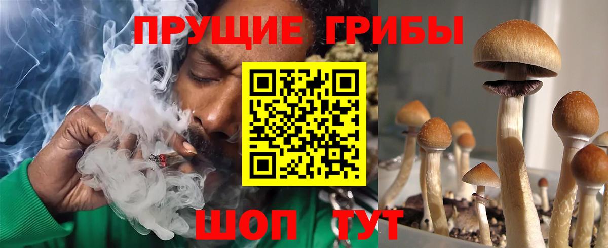 Псилоцибиновые грибы Magic Shrooms  Вход с VPN  Алатырь 