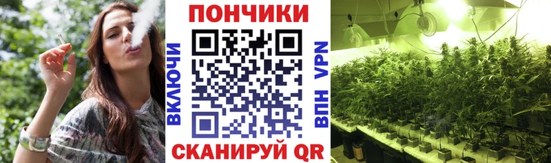 kraken ТОР  продажа наркотиков  Алатырь  Бошки Шишки семена 