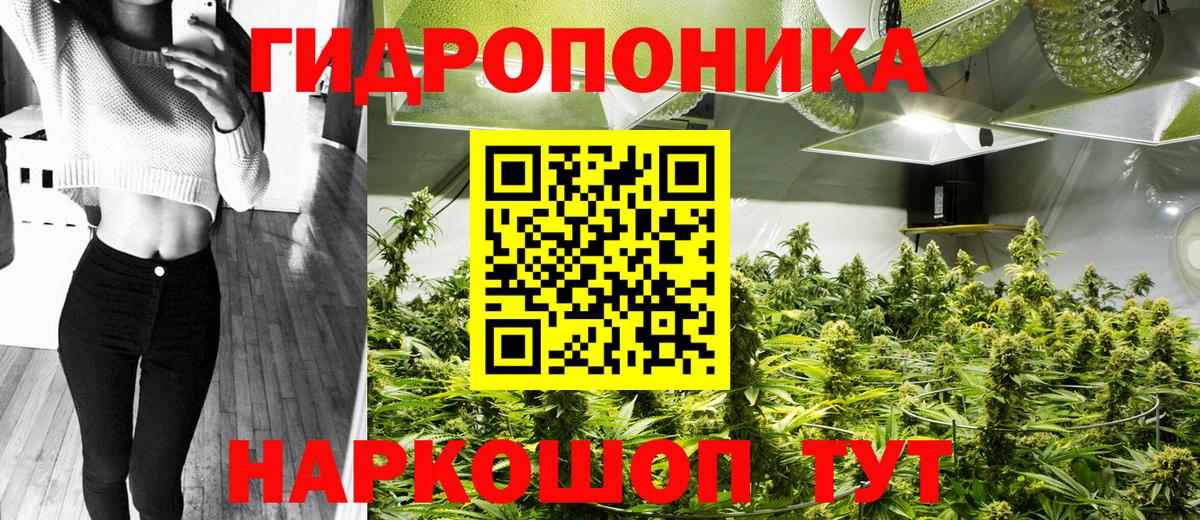 Конопля VHQ  Марихуана Bruce Banner  Алатырь  Марихуана гибрид 